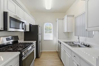 Modern stainless steel kitchen appliances
